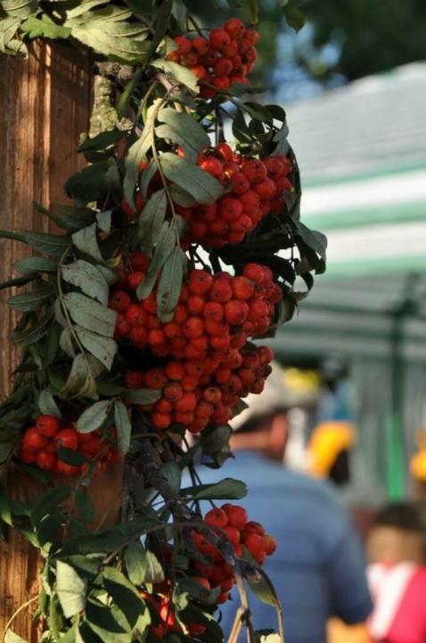 Drugi dzień jubileuszowego Jarmarku Podhalańskiego_7