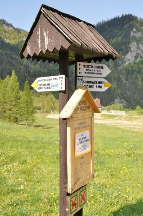 Czerwcowa wycieczka w Pieniny_22