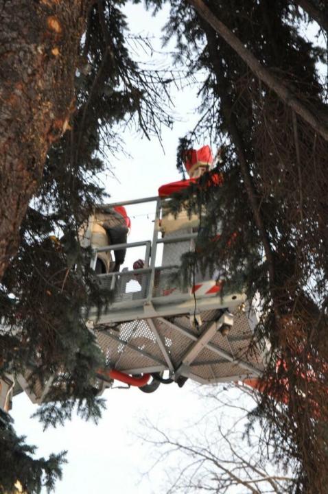 Św Mikołaj i dekorowanie miejskiej choinki _16