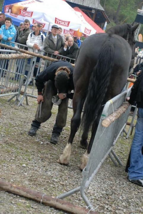 Wielka Majówka Tatrzańska 2010_74