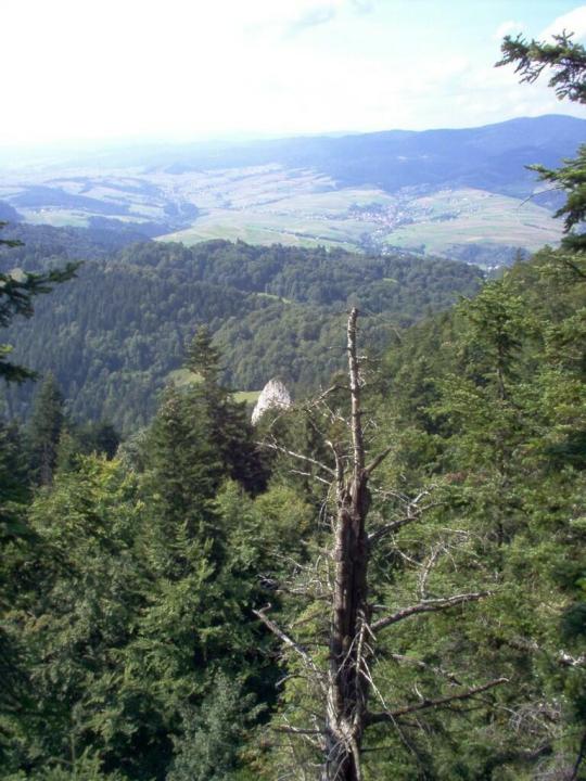 Czerwcowa wycieczka w Pieniny_34