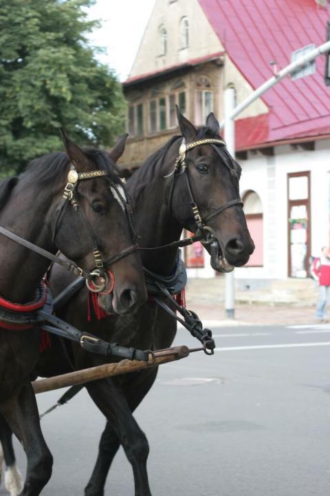 Sentymentalna podróż z Krakowa do Zakopanego_82