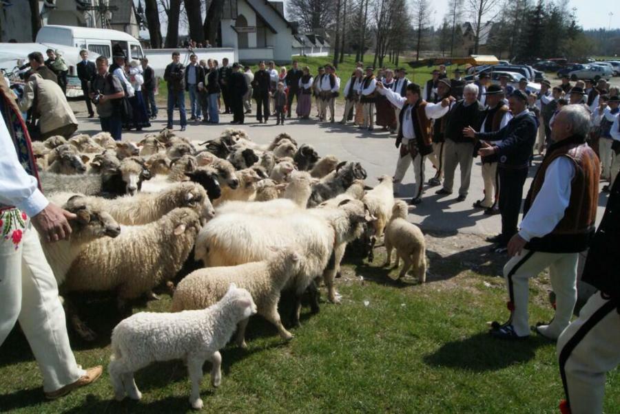 Święto bacowskie w Ludźmierzu_11