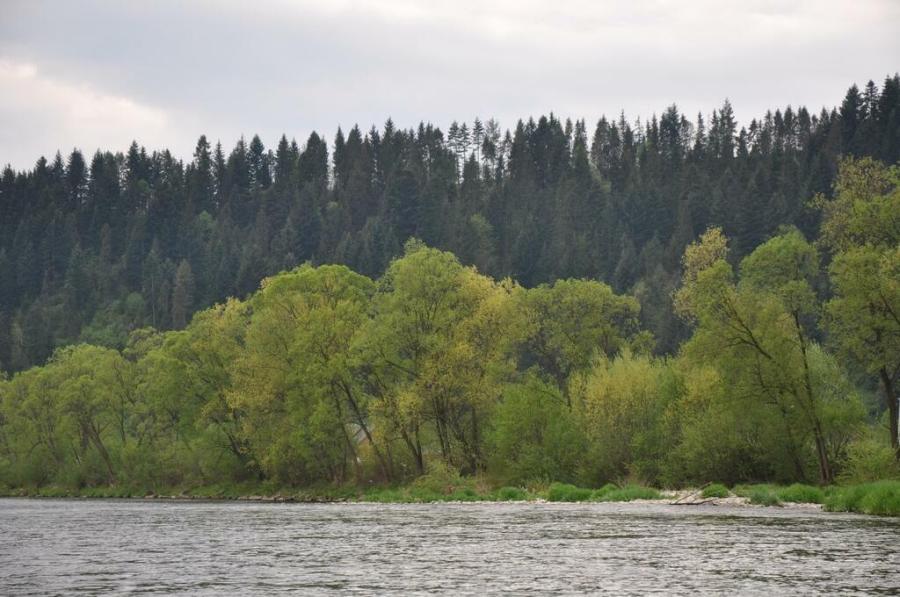 Czerwcowa wycieczka w Pieniny_4