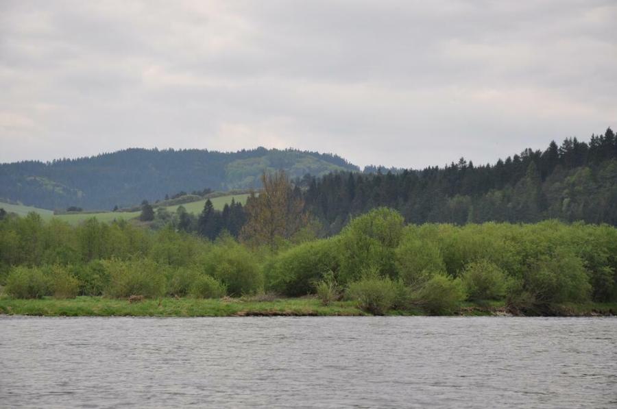 Czerwcowa wycieczka w Pieniny_5