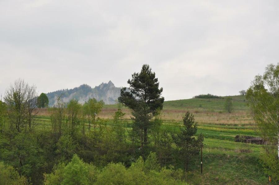 Czerwcowa wycieczka w Pieniny_6