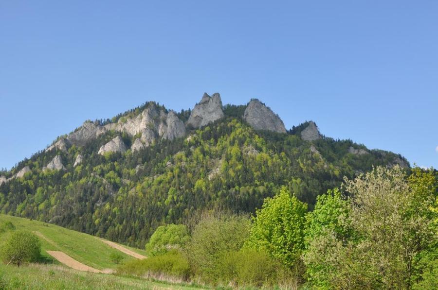 Czerwcowa wycieczka w Pieniny_23