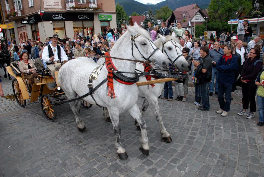 Tatrzańskie Wici - Zakopane 11 i 12 lipca_14