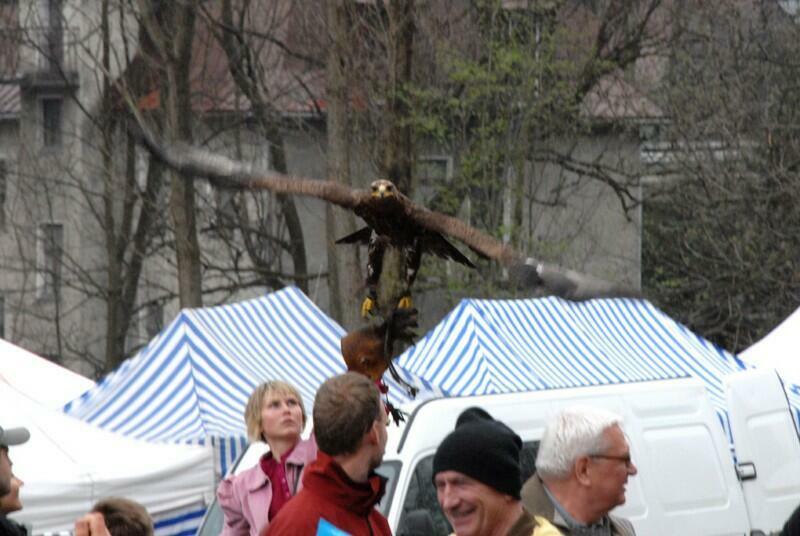 Wielka Majówka Tatrzańska 2010_68