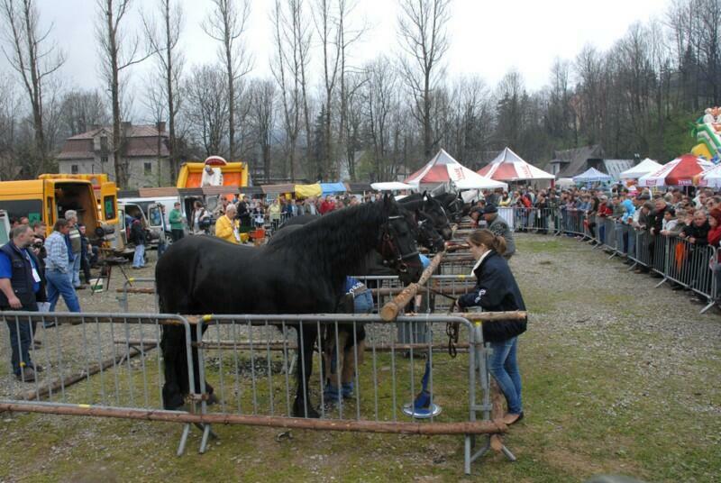 Wielka Majówka Tatrzańska 2010_78