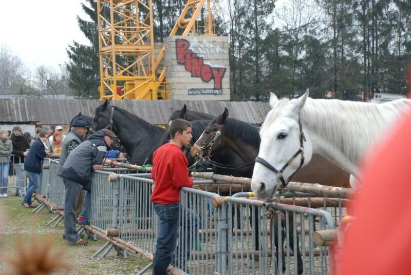 Wielka Majówka Tatrzańska 2010_83