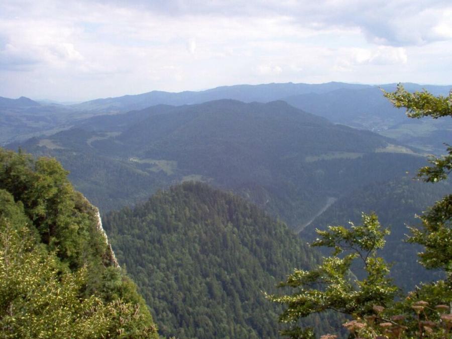Czerwcowa wycieczka w Pieniny_31