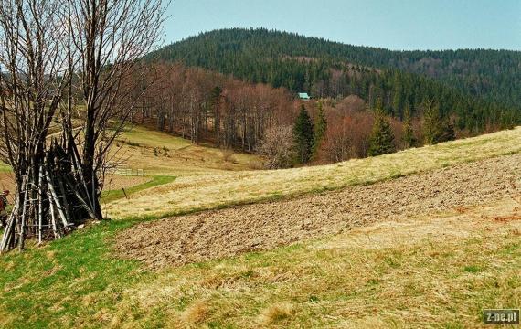 Beskid Żywiecki. Wiosenny widok z Przegibka na Bendoszkę Wielką