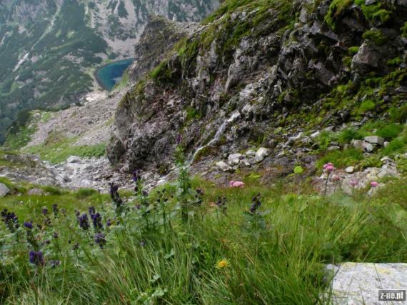 CZARNY STAW POD RYSAMI