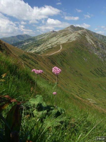 Demanovske sedlo Konske do Sirokej Chopok spod Krupovej hole