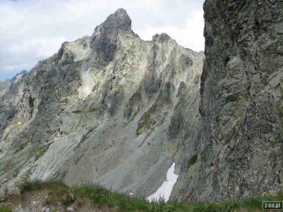 Dzika Turnia