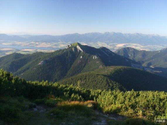 Havrany Sina spod Predneho Boru