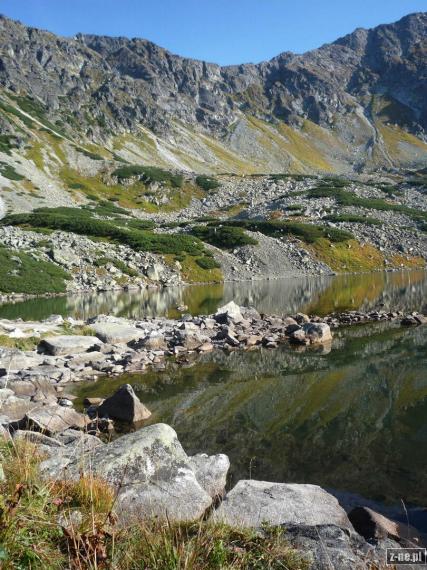 Przedni Staw