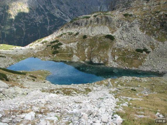 Staw Staszica
