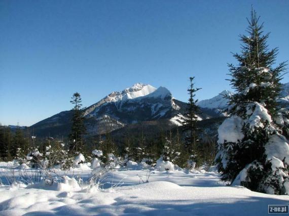 Tatry 