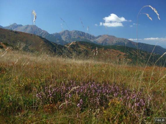 na Dlhom uplaze Zabrad Pachola Spalena Salatiny Brestova
