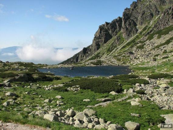 staw nad Skokiem
