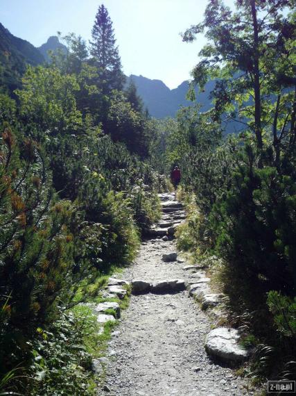 w drodze nad Czarny Staw